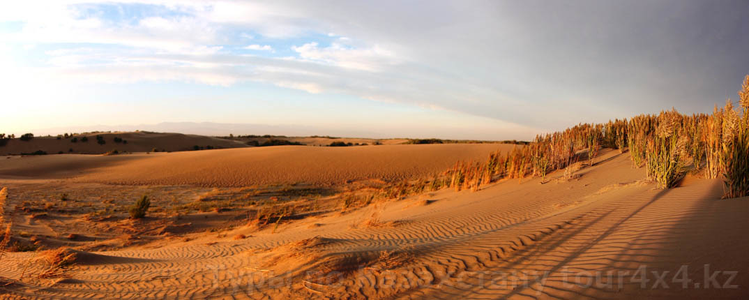 Песчаные дюны около оз.Дереваянное